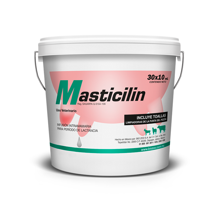 Masticilin
