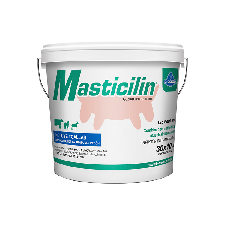 Masticilin®