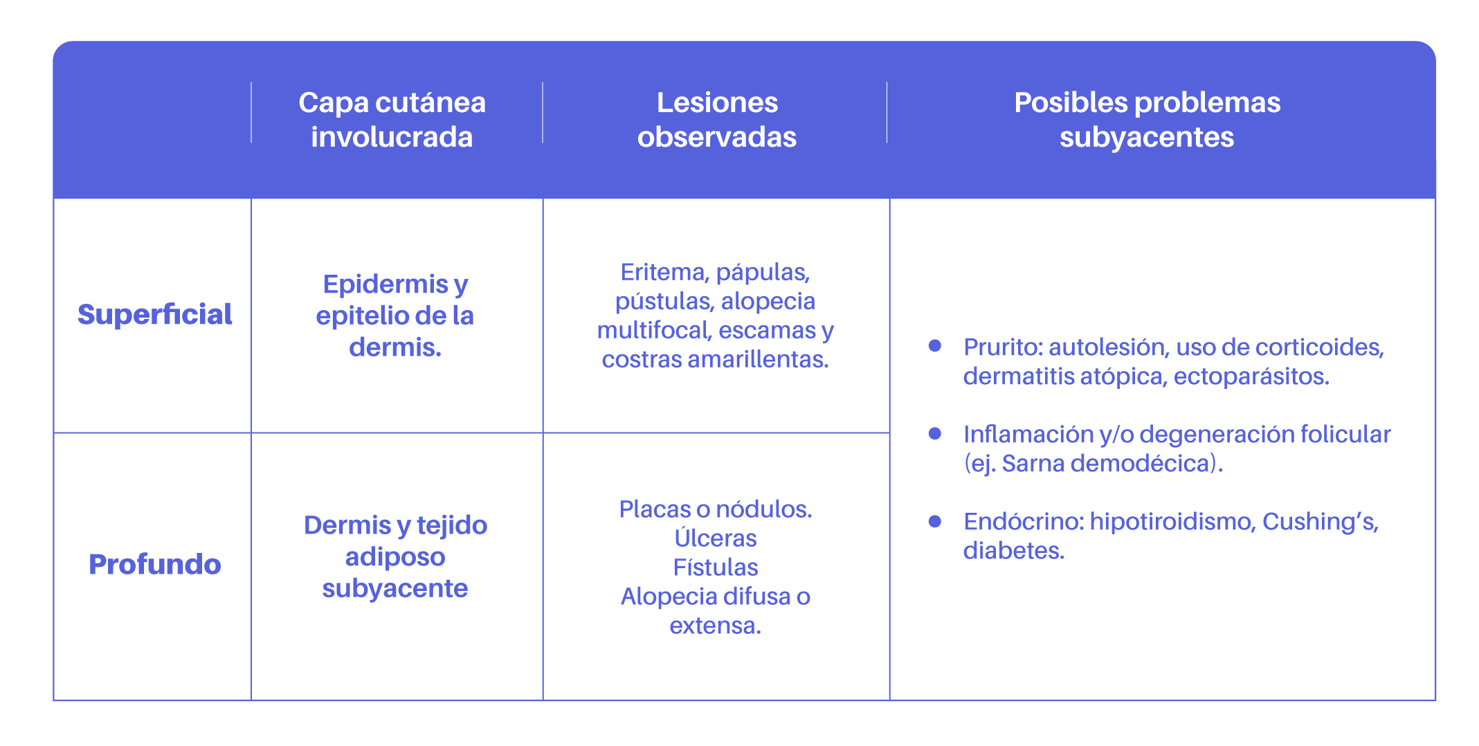 Bio Zoo Clasificación de piodermas