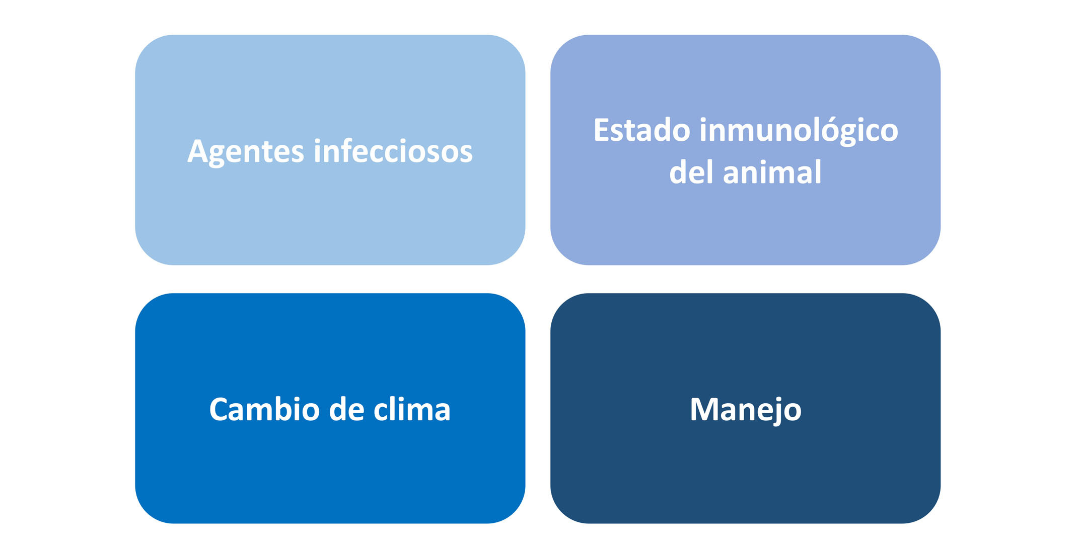 Bio Zoo Cuadro 1  Factores Que Determinan La Presentación Y Resultado De La Infección Pulmonar