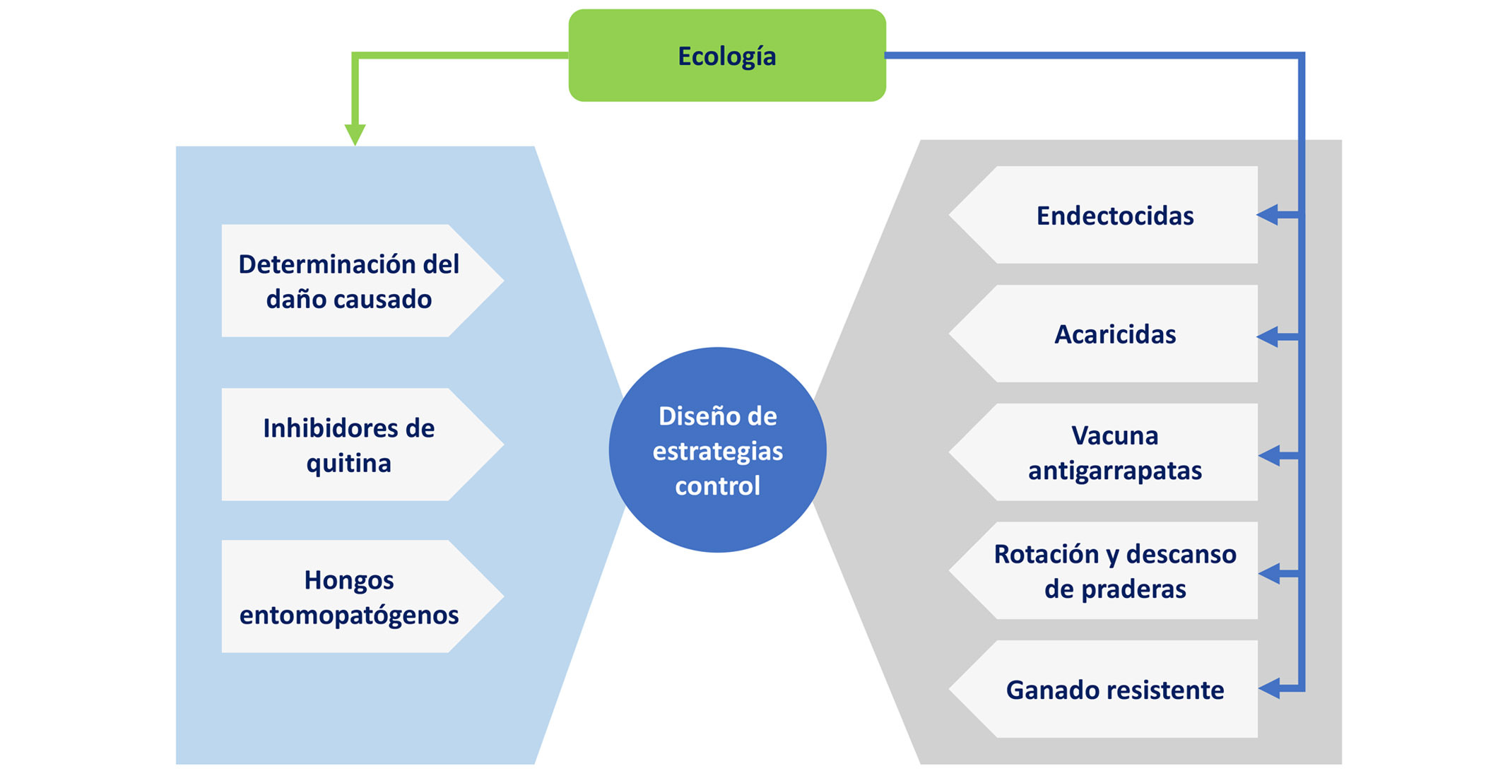 Bio Zoo Figura 2