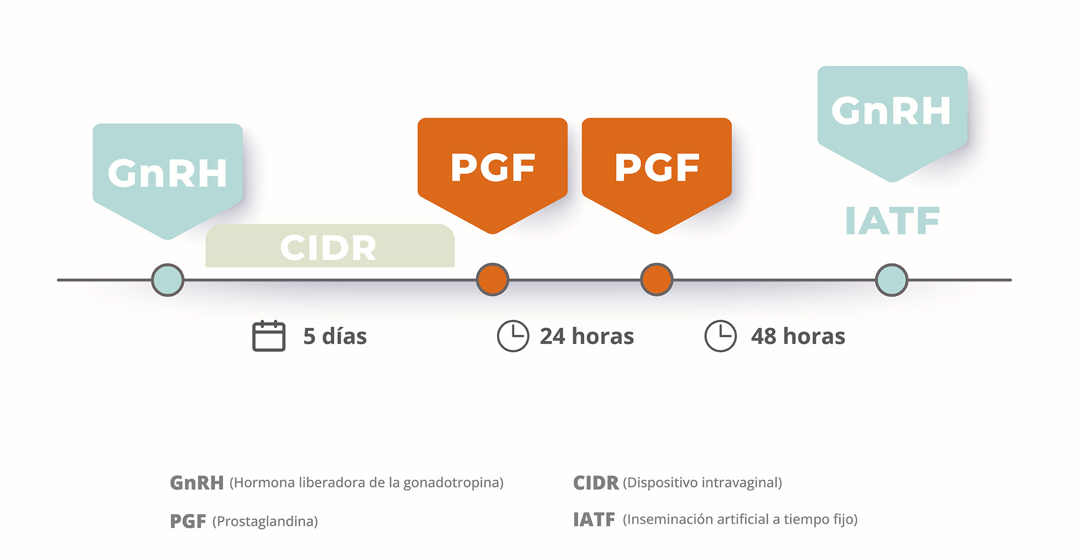 Bio Zoo Gráfica Sincronización Vaca Lechera 3