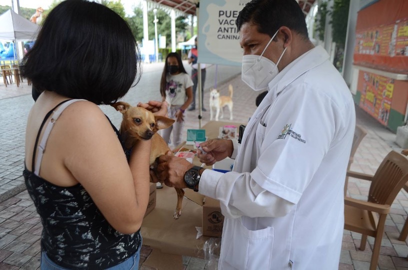 Bio Zoo Jornadas De Vacunación Anual Antirrábica Querétaro 2022