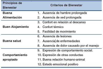 Bio Zoo Principios De Bienestar