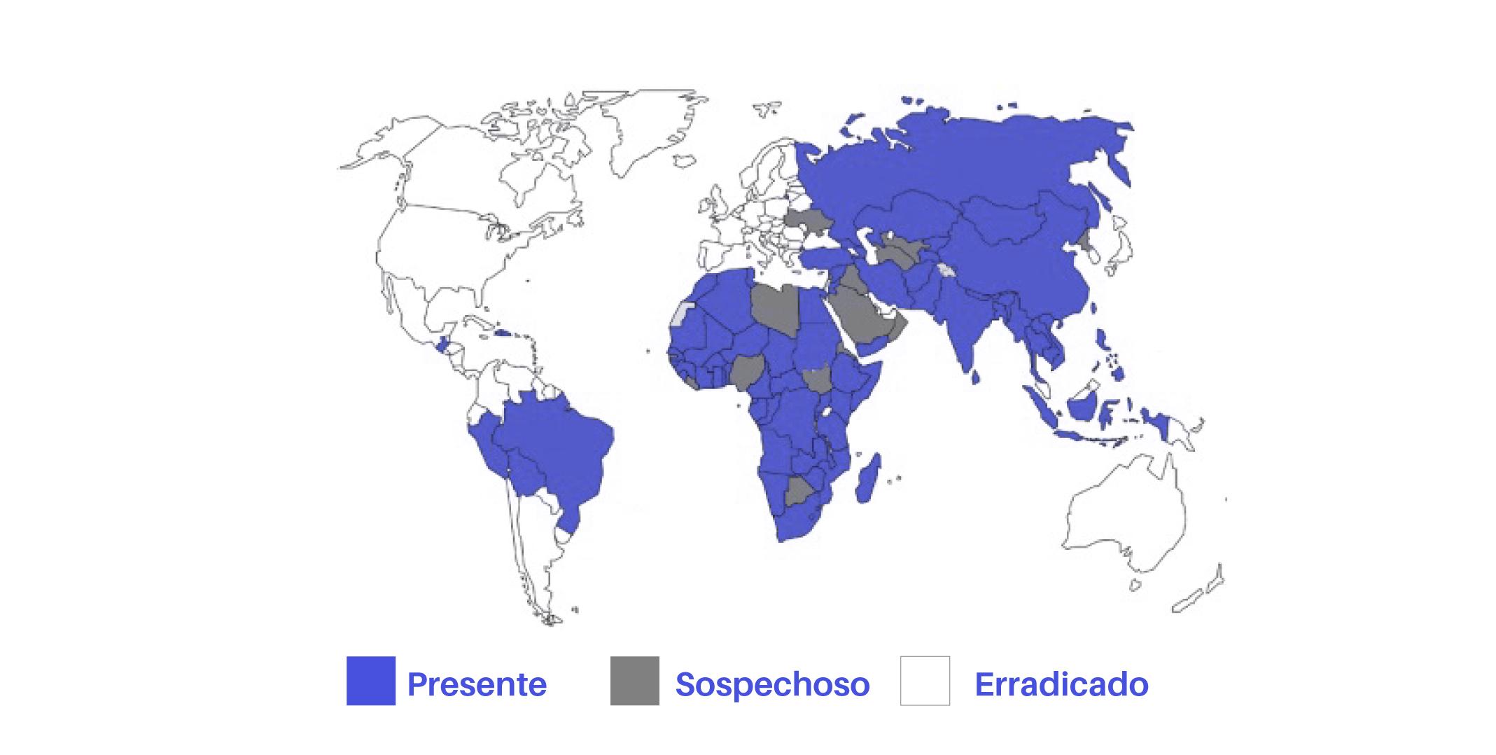 Bio Zoo El virus de la Rabia alrededor del mundo