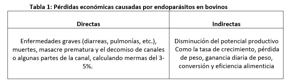 Bio Zoo Tabla 1