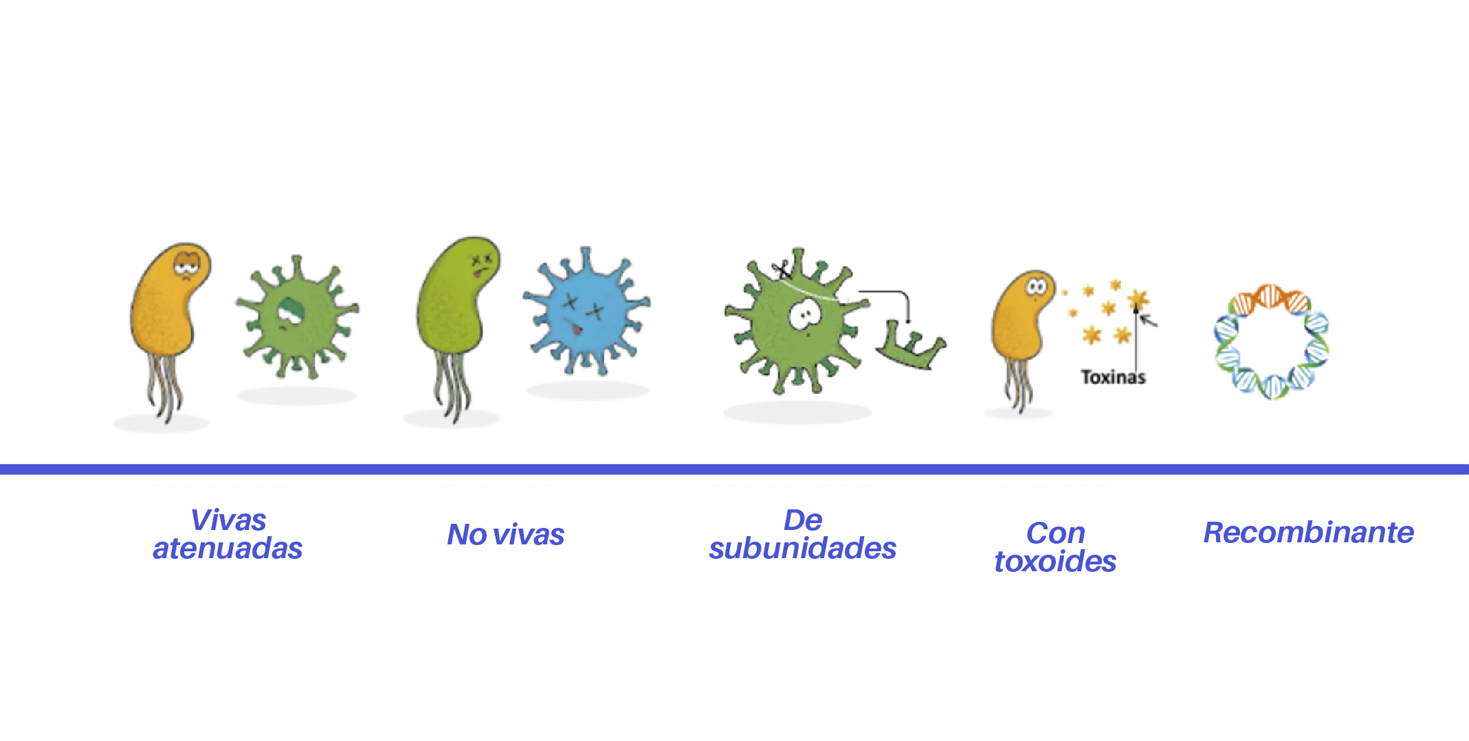 Bio Zoo Tipos Vacunas