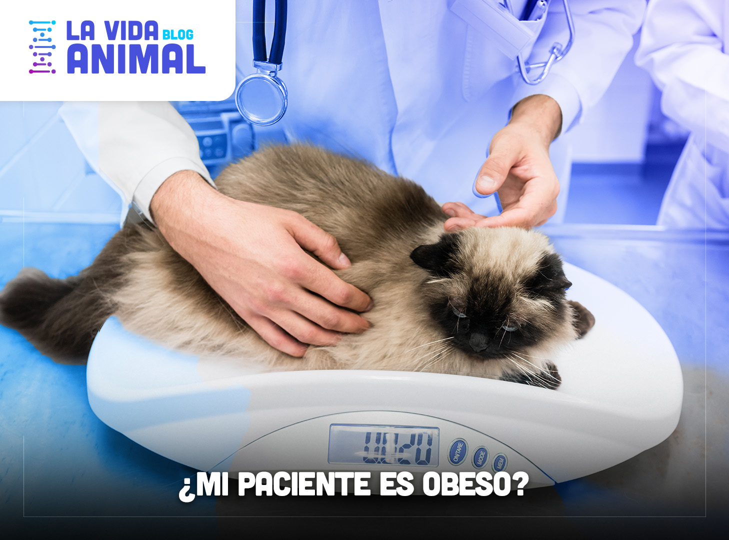 Bio Zoo Blog  Abril