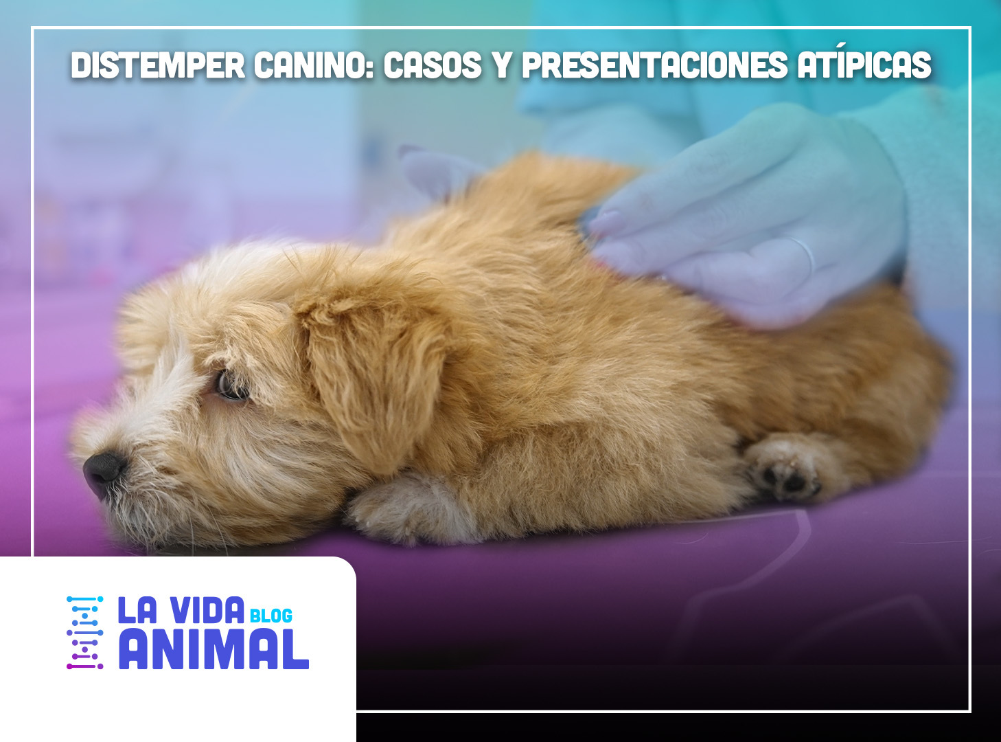 Bio Zoo Distemper  Canino