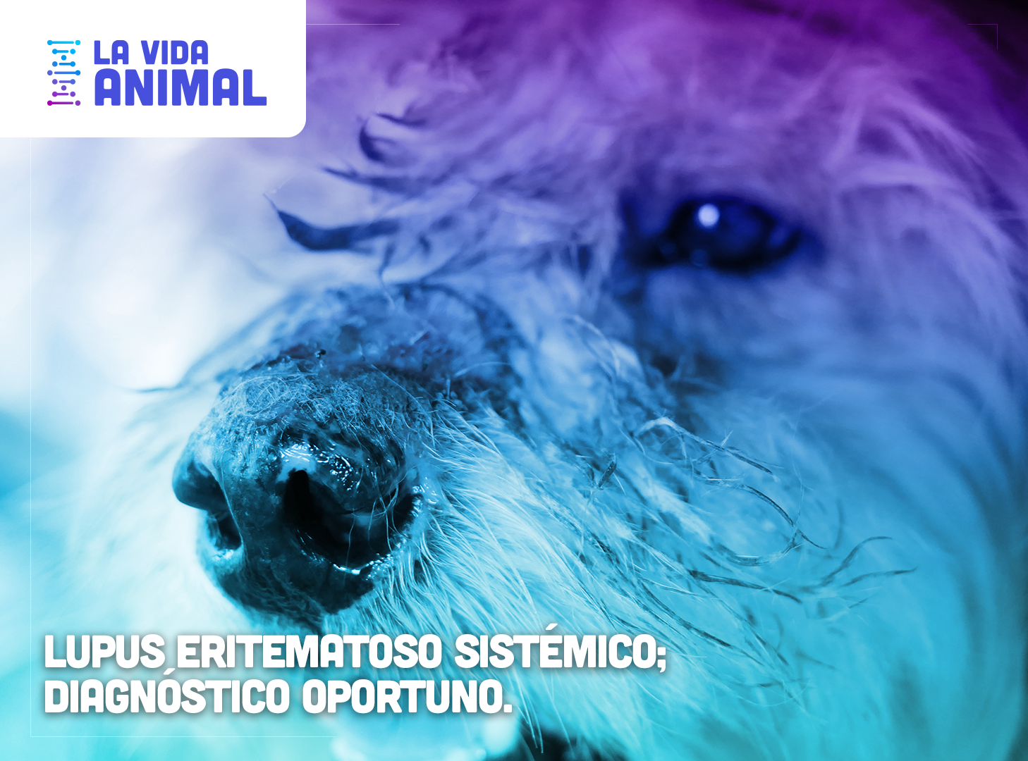 Bio Zoo Lupus Eritematoso Sistémico Diagnóstico Oportuno