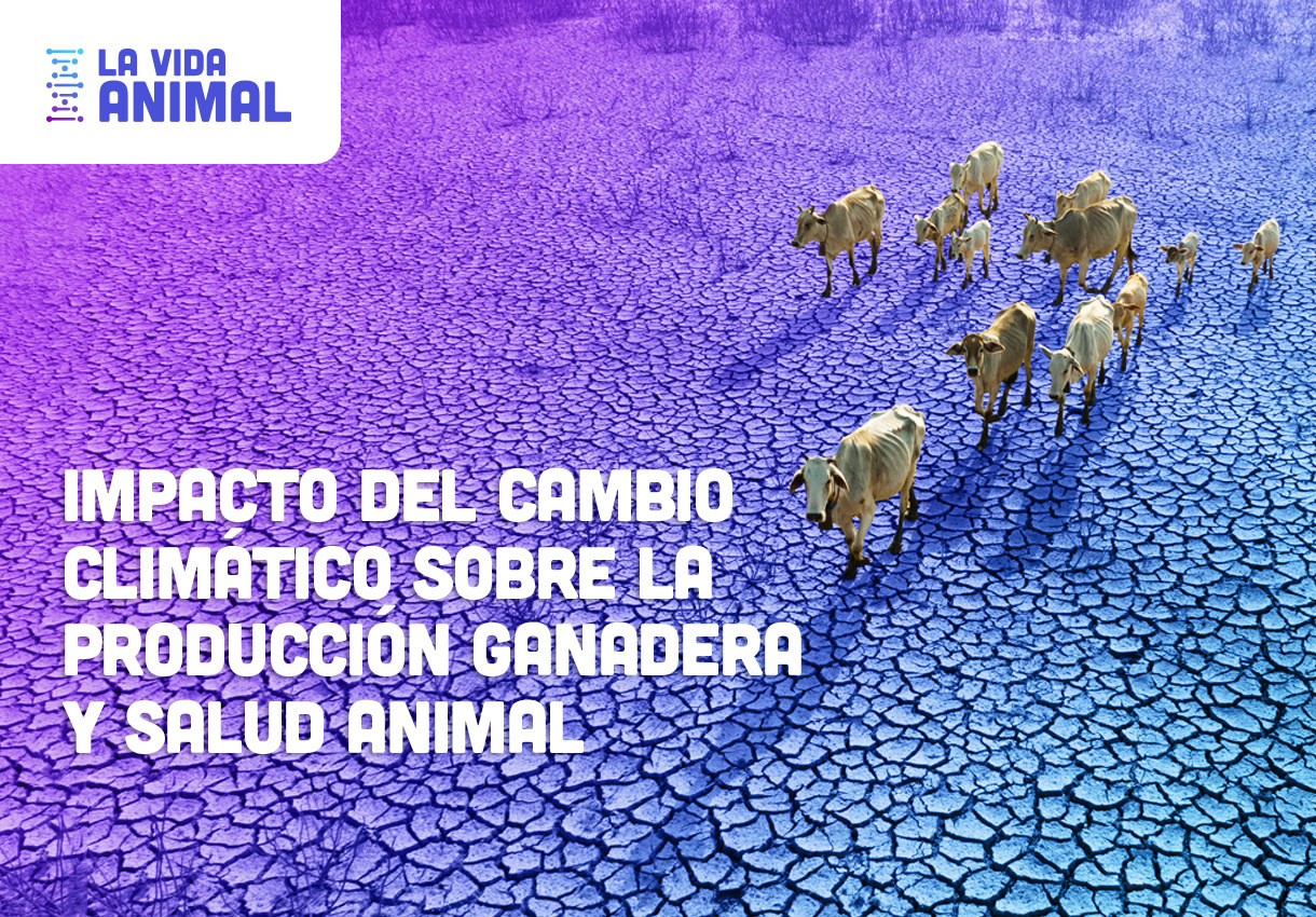 Bio Zoo Impacto del cambio climático sobre la producción ganadera y salud animal